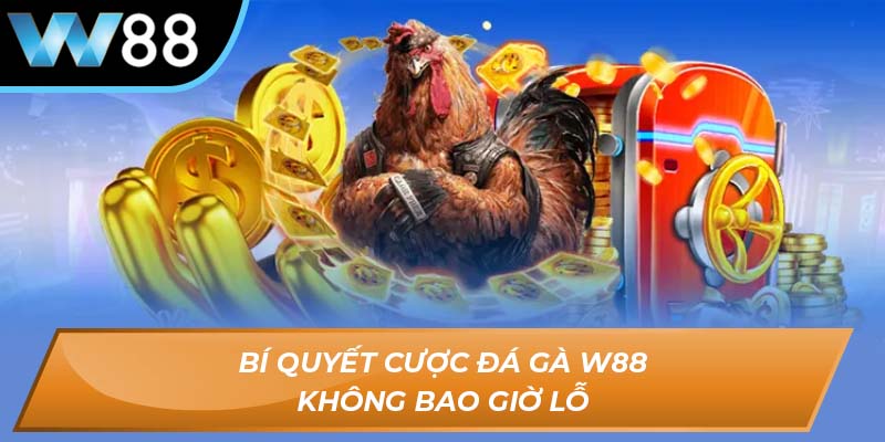 Bí quyết cược đá gà W88 không bao giờ lỗ