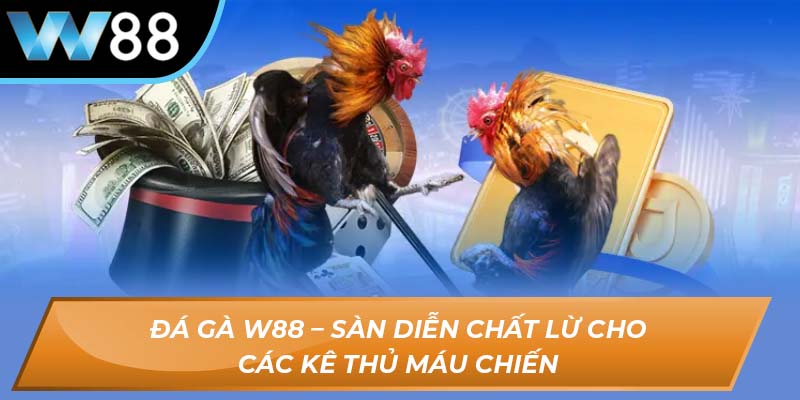 Đá gà W88