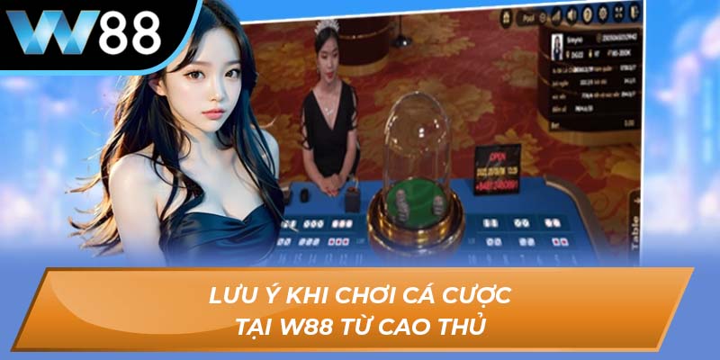 Lưu ý khi chơi cá cược tại W88 từ cao thủ