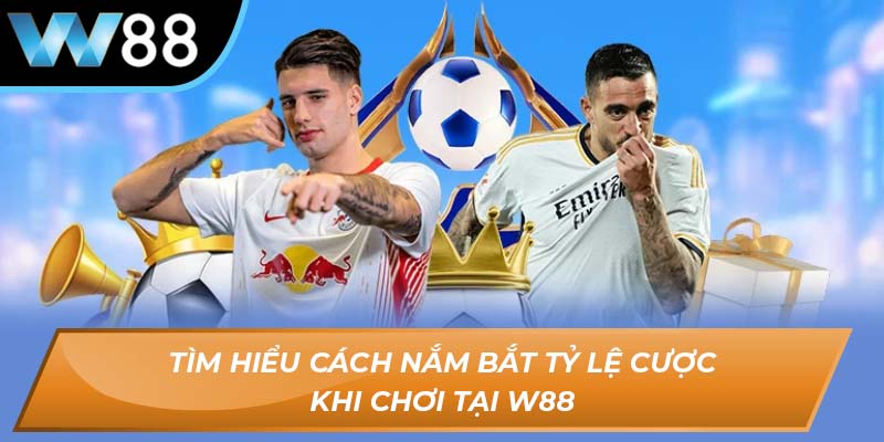 Tìm hiểu cách nắm bắt tỷ lệ cược khi chơi tại W88