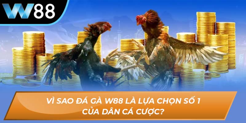 Vì sao đá gà W88 là lựa chọn số 1 của dân cá cược?